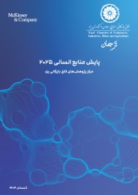 پایش منابع انسانی 2025